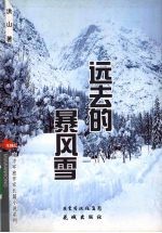 远去的暴风雪 封面