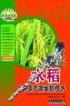 水稻实用高产栽培新技术 封面