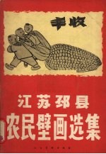 江苏邳县农民壁画选集 封面