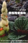 横断山“三江并流”腹地野生观赏植物 封面