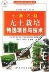 小康之路·无土栽培特选项目与技术 封面