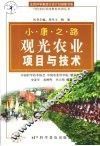 小康之路·观光农业项目与技术 封面