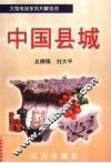 中国县城  1 封面