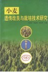 小麦遗传改良与栽培技术研究 封面