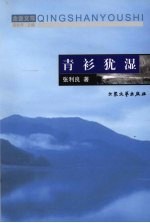 青衫犹湿 封面