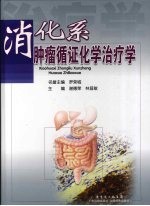 消化系肿瘤循证化学治疗学 封面