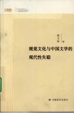 视觉文化与中国文学的现代性失聪 封面