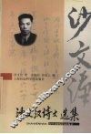 沙文汉诗文选集 封面
