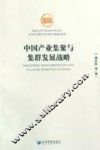 中国产业集聚与集群发展战略 封面