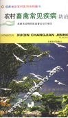 农村畜禽常见疾病防治 封面