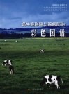 奶牛变形蹄与蹄病防治彩色图谱 封面