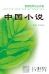 中国小说 封面