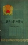 跃进中的安顺市 封面