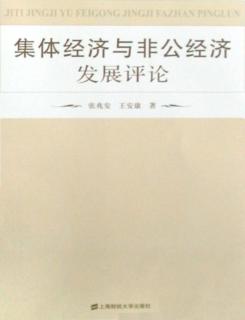集体经济与非公经济发展评论 封面