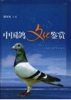 中国鸽文化鉴赏 封面