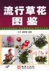 流行草花图鉴 封面