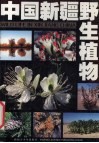 中国新疆野生植物 封面
