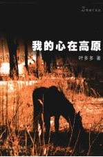 我的心在高原 封面