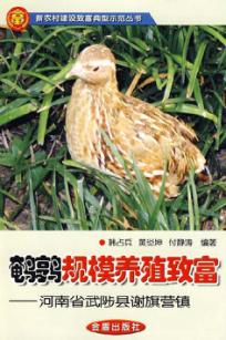 鹌鹑规模养殖致富-河南省武陟县谢旗营镇 封面