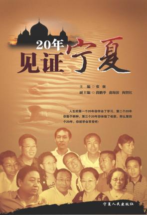 二十年见证宁夏 封面