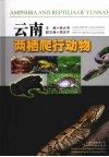 云南两栖爬行动物 封面