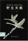 野生天鹅 封面