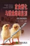 家禽孵化与雏禽雌雄鉴别 封面