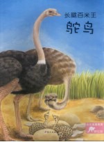 长腿百米王  鸵鸟 封面
