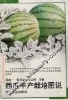 西瓜丰产栽培图说 封面