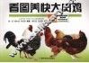 看图养快大肉鸡 封面