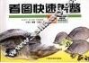 看图快速养鳖 封面