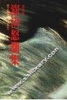 澎湃怒潮集 电子书封面
