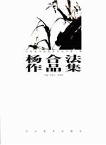 杨合法作品集 封面