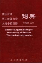 核反应堆热工流体力学术语中英双语词典 封面