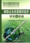 钢铁企业发展循环经济研究与实践 封面