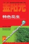 特色花生 封面