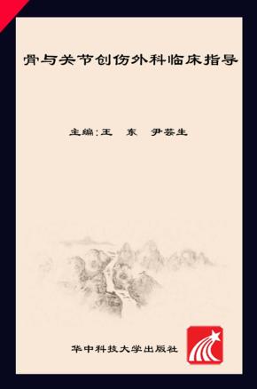 骨与关节创伤外科临床指导 封面