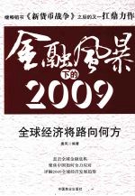 金融危机下的 2009 封面