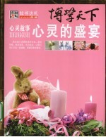 心灵的盛宴：心灵故事 封面