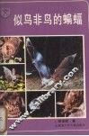 似鸟非鸟的蝙蝠 封面