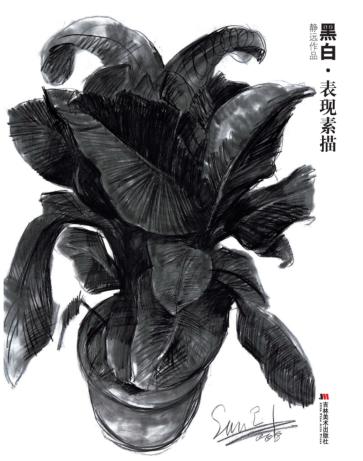 黑白·表现素描  静远作品 封面