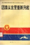 团旗从这里重新升起 封面