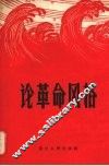 论革命风格