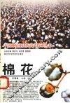 棉花 封面