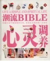 潮流BIBLE  心灵调养 封面