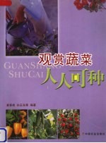观赏蔬菜人人可种 封面