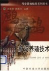 鹧鸪养殖技术 封面