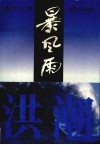 暴风雨  下  洪潮 封面