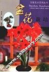 盆花栽培 封面