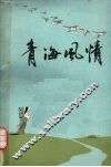 青海风情 封面